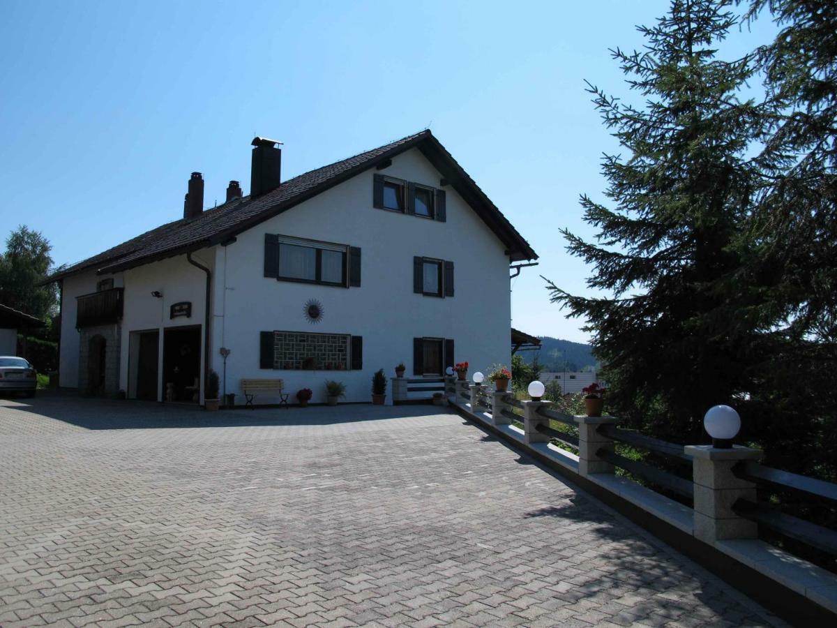 Haus Anton Apartment Zwiesel Exterior photo